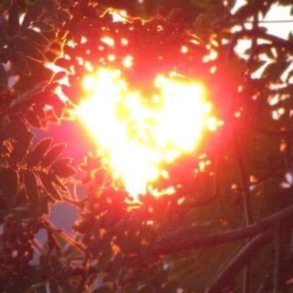 Meet your Posher, e - Picture 1 of 1